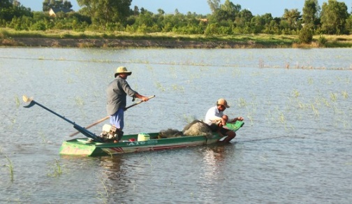 Không gian mưu sinh mùa nước nổi miền Tây ảnh 4