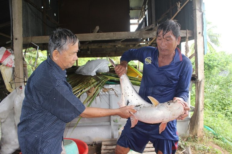 loi-nhuan-tu-san-pham-nong-nghiep-giam (2).jpg