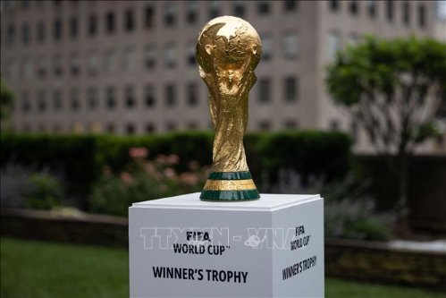 world-cup-2022-vtv-261022.jpg