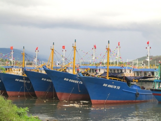 Lực lượng tàu cá của thị xã Hoài Nhơn chiếm đến 40% trong tổng số tàu cá của tỉnh Bình Định.