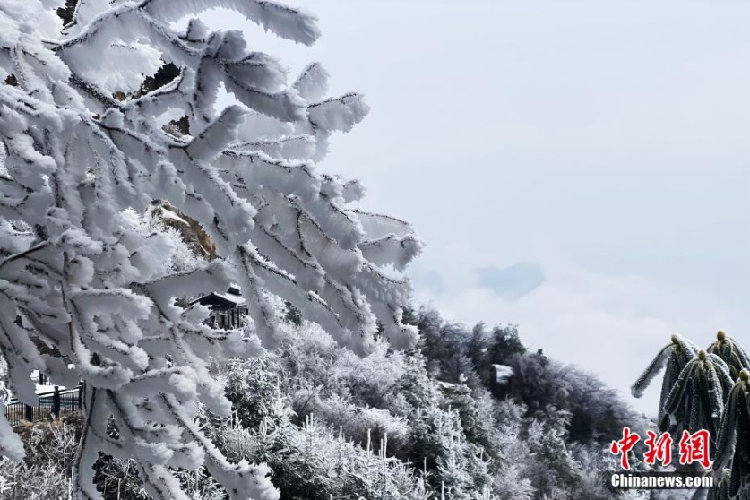 Mới đây, trên đỉnh Tam Hiệp ở độ cao 2.008 mét ở thành phố Nghi Xương, tỉnh Hồ Bắc, những tán cây phủ đầy hoa băng tạo thành khung cảnh sương mờ mờ ảo, đẹp như chốn bồng lai tiên cảnh.
