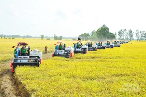 Đề án '1 triệu ha chuyên canh lúa chất lượng cao gắn với tăng trưởng xanh vùng ĐBSCL' nhằm nâng cao giá trị lúa gạo, nâng cao thu nhập và tổ chức sản xuất nông nghiệp tại ĐBSCL, đảm bảo thực hiện cam kết đạt mức phát thải ròng bằng '0' vào năm 2050.