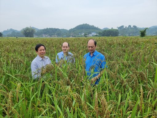 gia-han-cong-nhan-luu-hanh-giong-cay-trong-nhung-van-de-nong-tu-doanh-nghiep-ONbP.jpeg