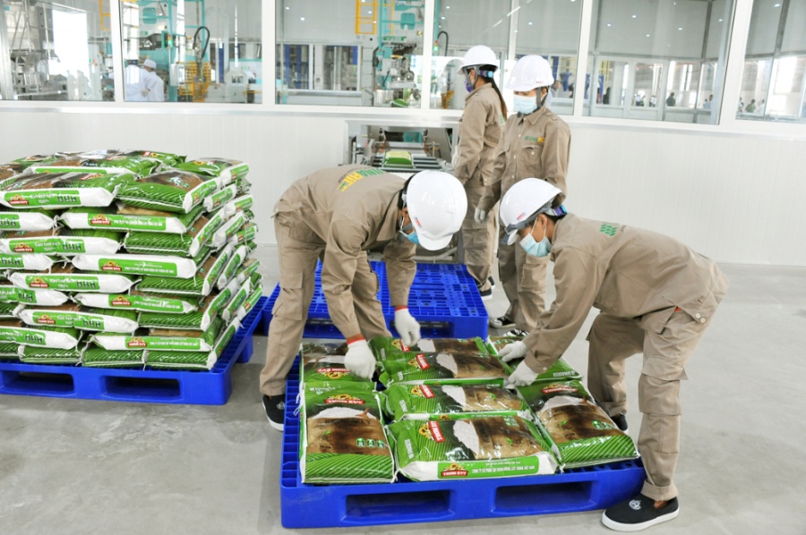 Chế biến gạo xuất khẩu tại Công ty TNHH Lúa gạo Việt Nam (VINARICE) ở tỉnh Đồng Tháp