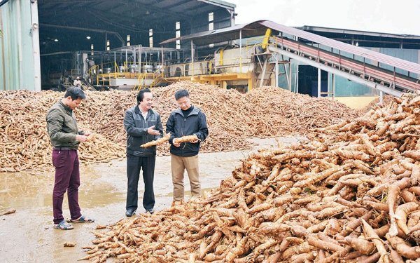 xay-dung-vung-nguyen-lieu-san-ben-vung-RspA.jpg