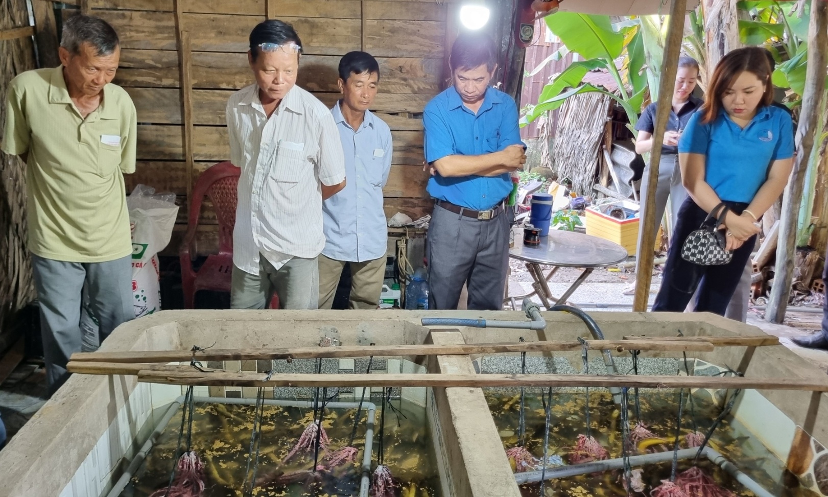 Mô hình nuôi lươn không bùn phù hợp với quy mô nông hộ, giúp tận dụng được diện tích nhỏ hẹp trong vườn nhà. Ảnh: Diễm Trang.