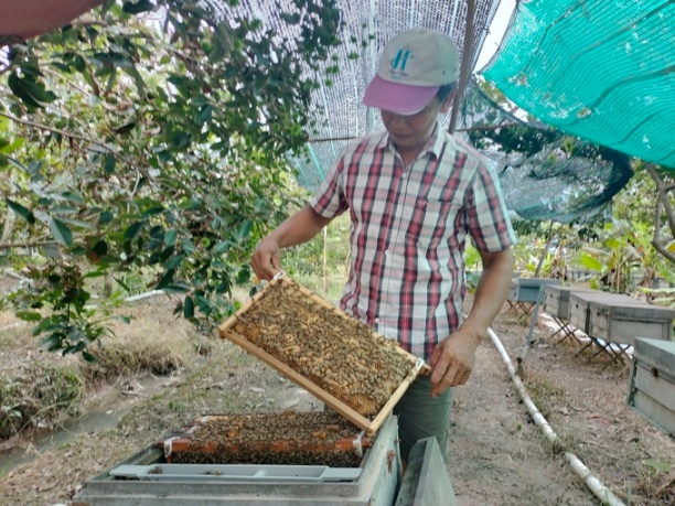 Ông Nguyễn Tri Phụng ở ấp Hoà Quý, xã Hoà Ninh, huyện Long Hồ (Vĩnh Long) nuôi ong mật trên 10 năm. Ảnh: Minh Đảm.