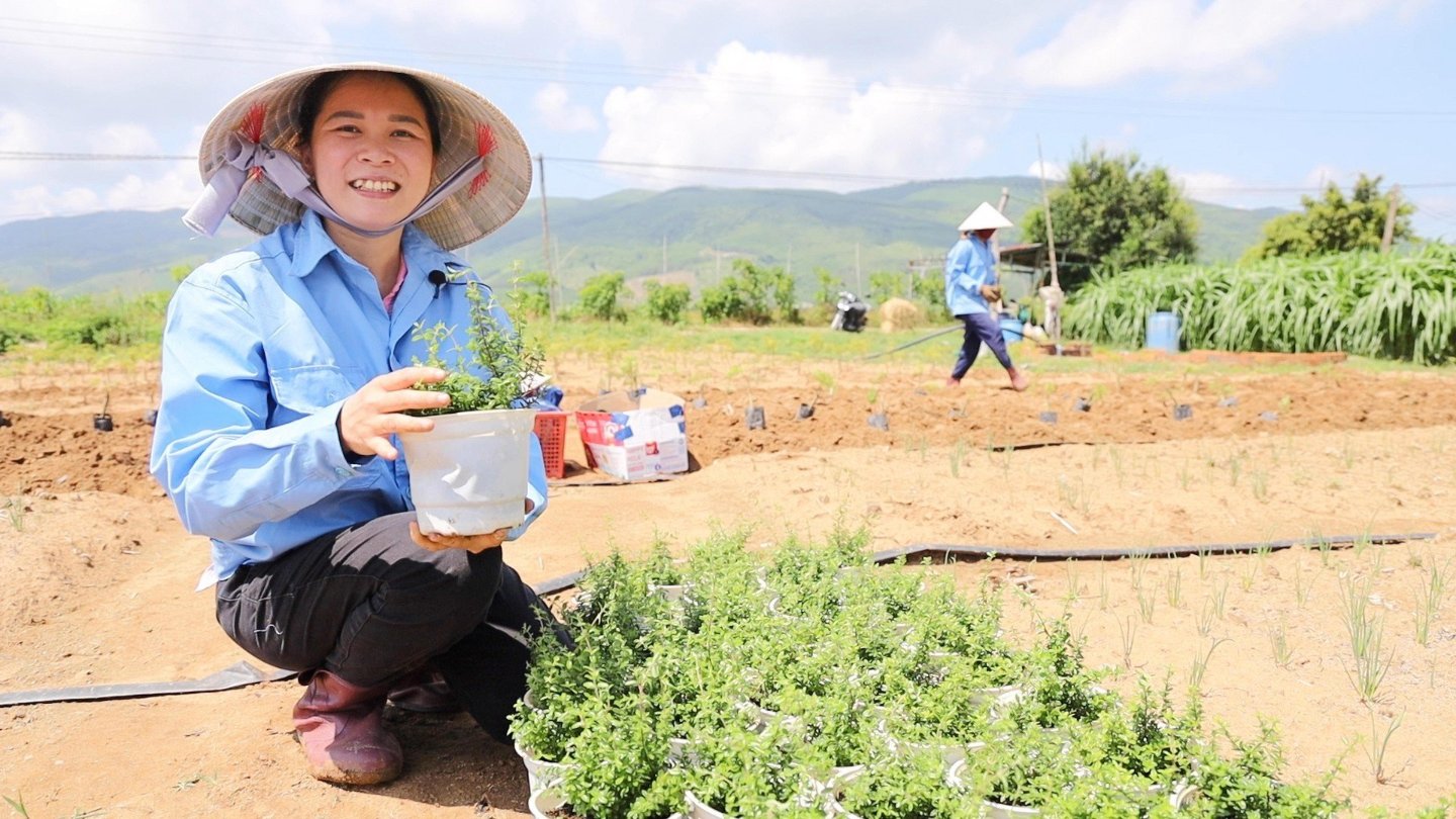 toi-chon-que-huong-lam-noi-khoi-nghiep-mZYz.jpg