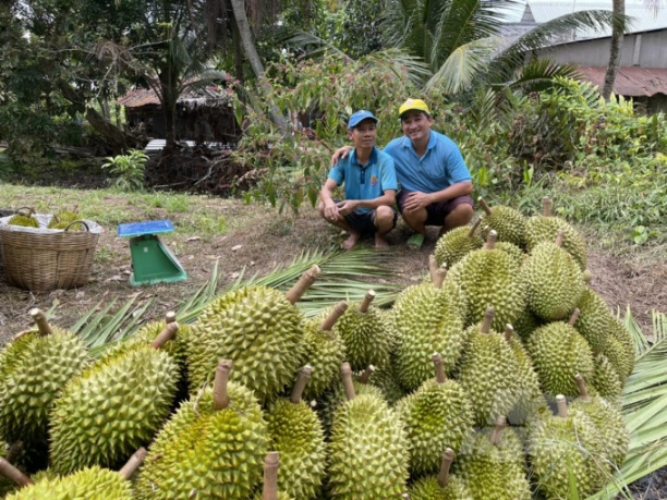 Việc giữ các vùng cây ăn trái đặc sản sẽ giúp Phong Điền khai thác hiệu quả hơn nữa tiềm năng du lịch sinh thái. Ảnh: LHV.