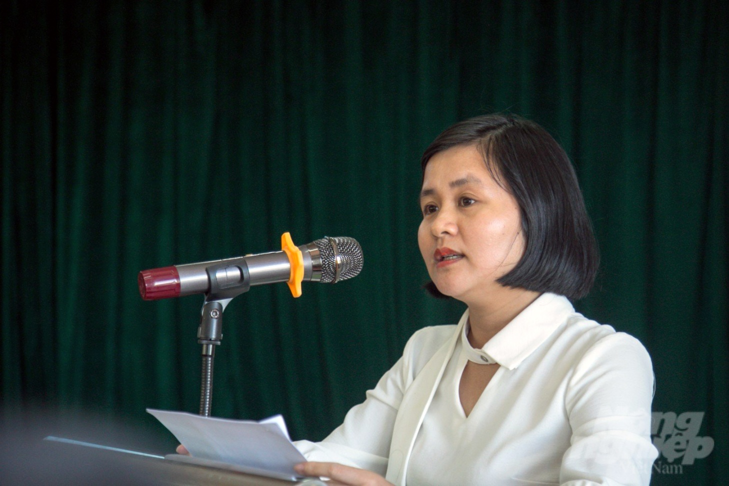 Bà Nguyễn Hồng Phương, Phó Giám đốc Sở NN-PTNT Quảng Trị thông tin về tình hình sản xuất cà phê tại địa phương. Ảnh: Võ Dũng.