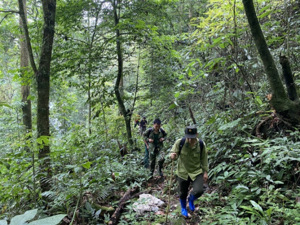 Tỉ lệ rừng nguyên sinh còn lớn, với sự đa dạng sinh học cao là điều kiện rất thuận lợi để Lai Châu phát triển dược liệu gắn với du lịch. Ảnh: TL.