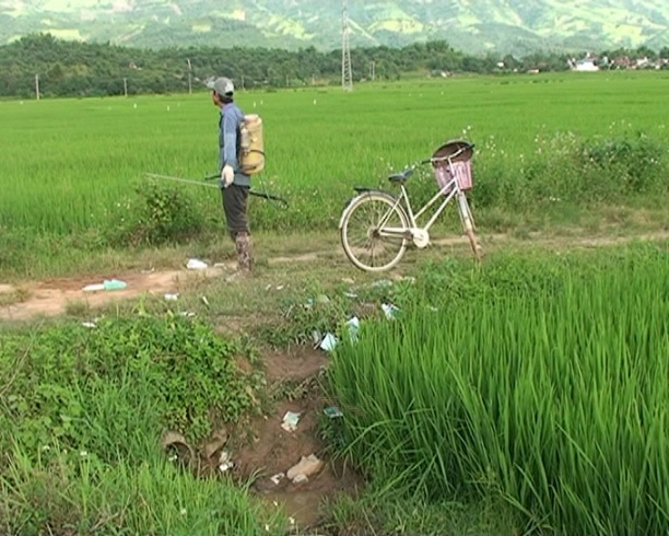 Nhiều nơi ở Đô Lương (Nghệ An) nông dân vứt bỏ bừa bãi bao bì, chai lọ thuốc BVTV trên đồng ruộng. Ảnh: Trí Tuệ.