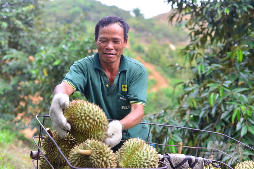 bo-nnptnt-de-nghi-siet-chat-kiem-tra-trai-cay-xuat-khau-sang-trung-quoc-WDwV.jpg