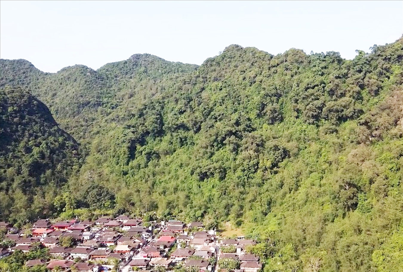 Khu rừng nghiến nguyên sinh bao quanh thôn Đông Đằng