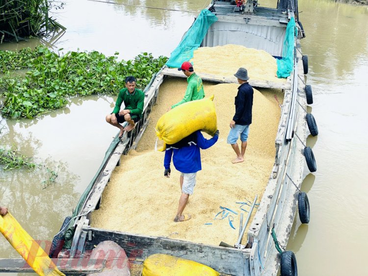 an-do-dung-xuat-khau-gao-bo-cong-thuong-viet-nam-ra-khuyen-nghi-khan-HcTY.jpg