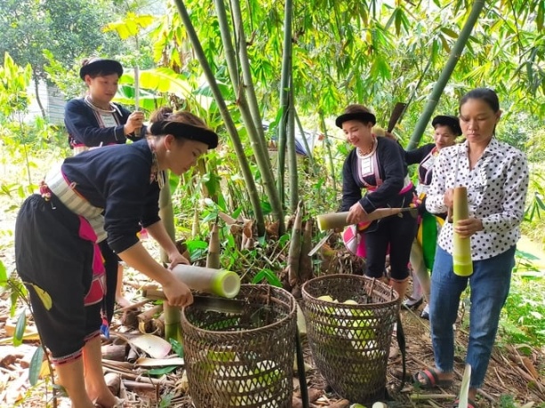 Mỗi năm người dân xã Kiên Thành (huyện Trấn Yên) có nguồn thu hơn 100 tỷ đồng từ cây tre măng Bát Độ. Ảnh: Thanh Tiến.