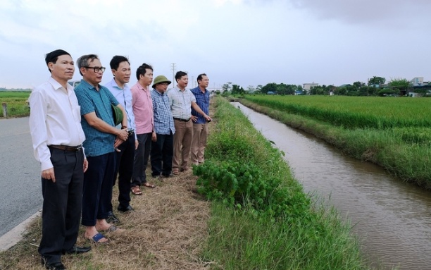 Lãnh đạo Cục Trồng trọt và Sở NN-PTNT Nam Định kiểm tra tình hình ảnh hưởng của mưa lớn tới sản xuất. Ảnh: Bảo Thắng.