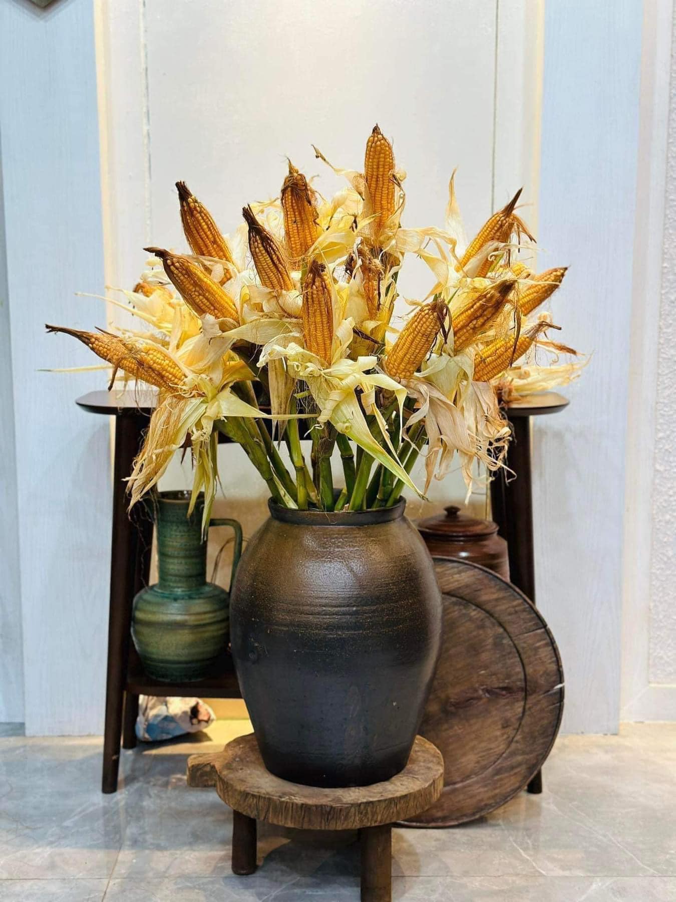 Kỳ lạ: Loại cây trước trồng lấy lương thực giờ cũng được mua về cắm chơi, giá đắt đỏ