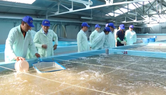 Ứng dụng công nghệ cao trong lĩnh vực thủy sản ở Quảng Bình cũng có nhiều chuyển biến tích cực trong những năm qua. Ảnh: Tâm Phùng.