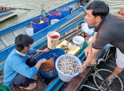 Đặc sản cá linh non đầu mùa. Ảnh: CTV ảnh 1