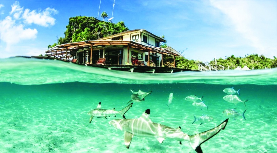 Năm 2005, Misool Eco Resort thành lập khu bảo tồn biển rộng khoảng 122ha