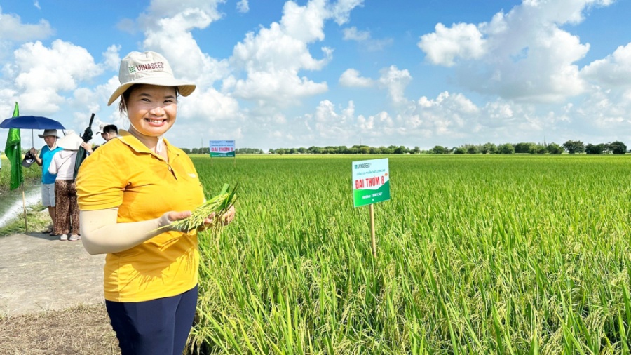 Chị Trần Thị Lanh hiện đang điều hành Hợp tác xã Sản xuất, Kinh doanh nông sản Quang Lanh làm lúa trên diện tích 200ha