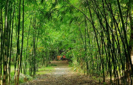 tham-bao-tang-tre-lon-nhat-dong-nam-a-o-binh-duong-COfK.jpg