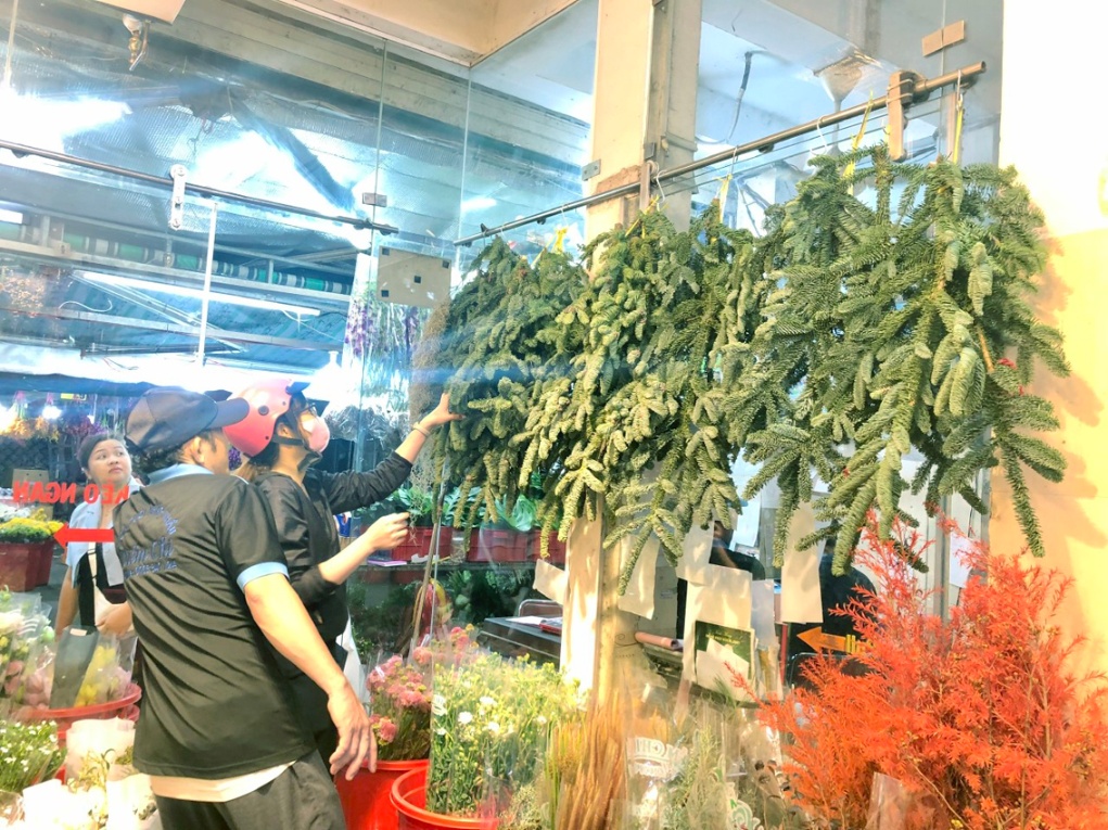 Các chủ vựa ở chợ hoa Hồ Thị Kỷ cho biết sức mua thông, cây kiểng trang trí Giáng sinh năm nay rất thấp