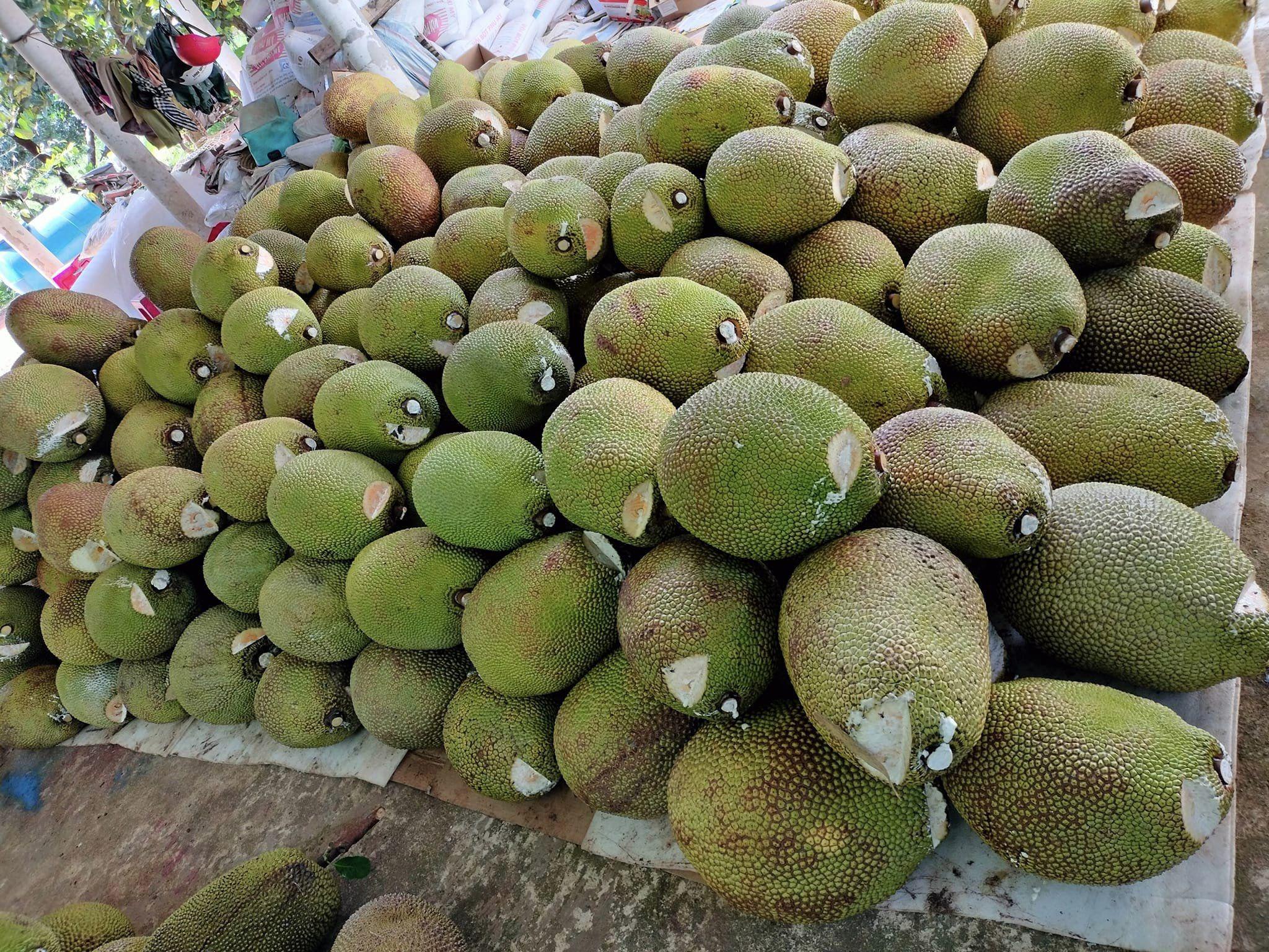 Tạp chí Nông Thôn Việt