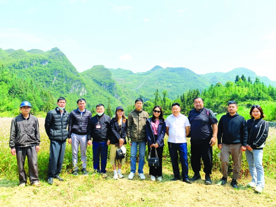 Ông Matsuo (thứ ba từ phải qua) cùng đội ngũ nhân viên và chính quyền địa phương khảo sát cánh đồng tam giác mạch