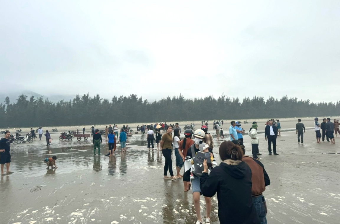 Hàng trăm người kéo đến bờ biển xem đàn cá lạ - Ảnh: Hoàng Sơn