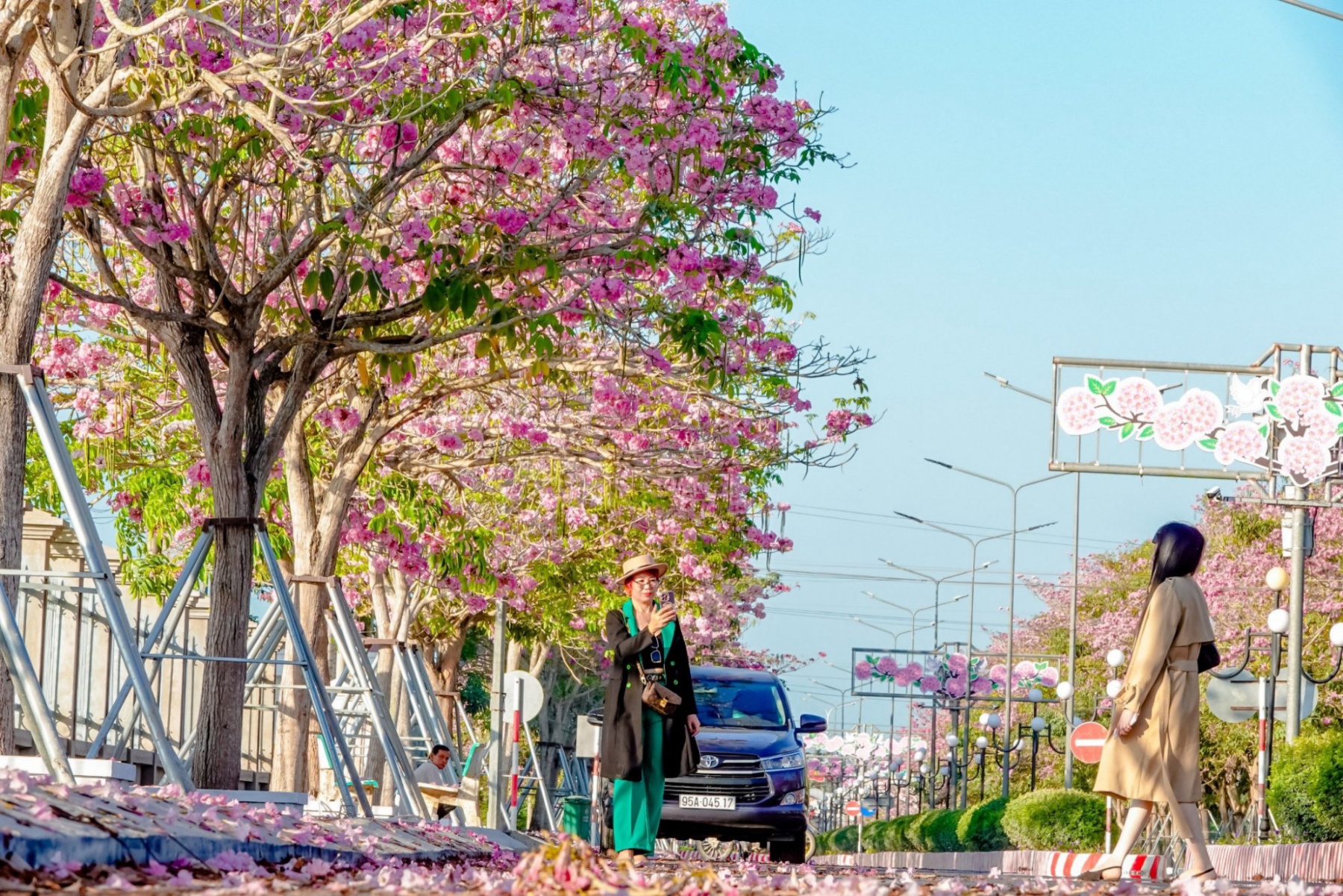 Từ khoảng năm 2019, khi cây bắt đầu cho hoa rộ, nơi đây bắt đầu được nhiều người biết đến, dần trở nên nổi tiếng và được ví là con đường hoa kèn hồng đẹp nhất miền Tây.