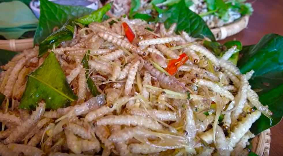 Món sâu tre chiên phổ biến trong ẩm thực Điện Biên song cũng khá kén thực khách