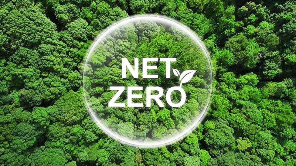 netzero-forest.jpg