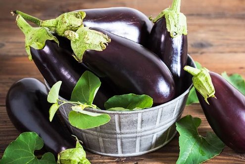 1621925310_eggplant_big_450.jpg