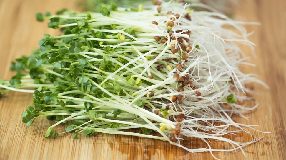 broccoli-sprouts-1296x728-header.png