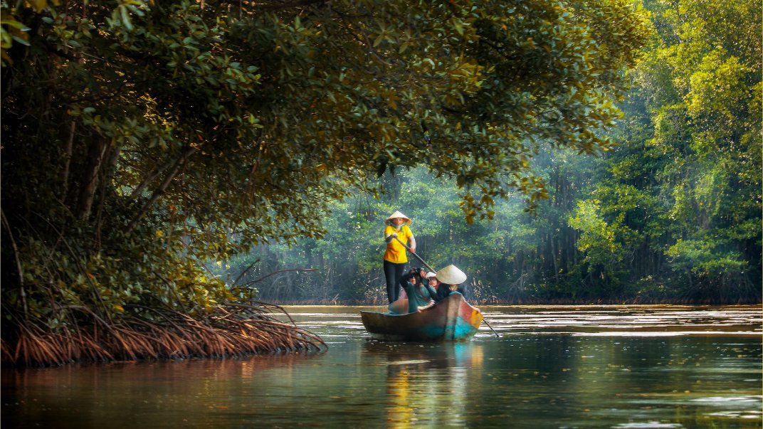 240901-rừng ngập mặn Cần Giờ.jpg