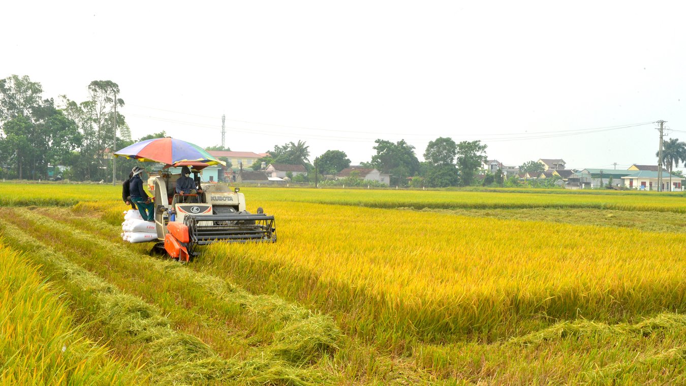 240902- nông dân xuất sắc 03.jpg