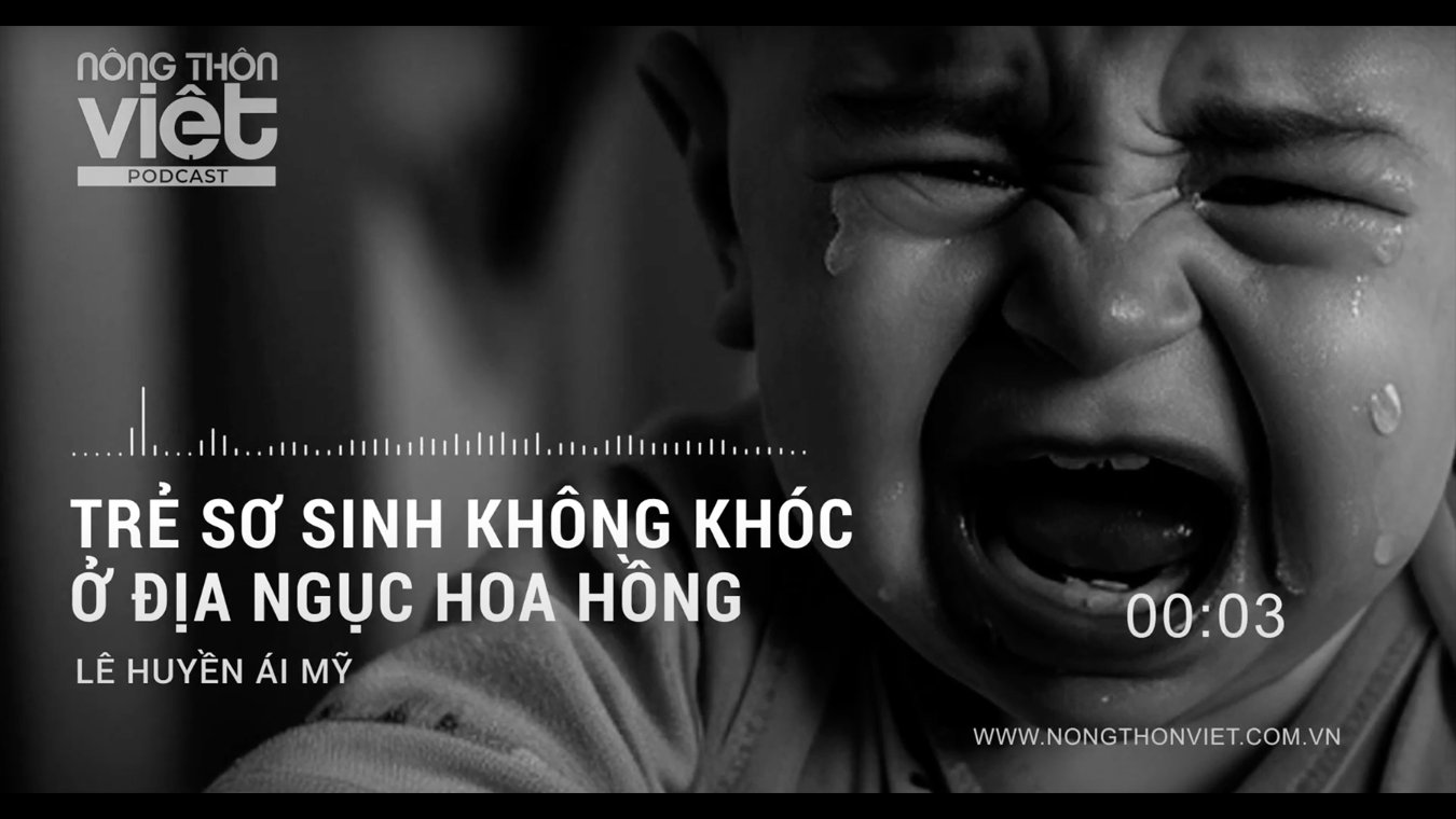 vid địa ngục hoa hồng.jpg