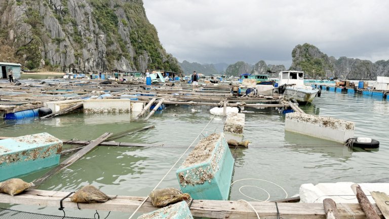 quang ninh.jpg