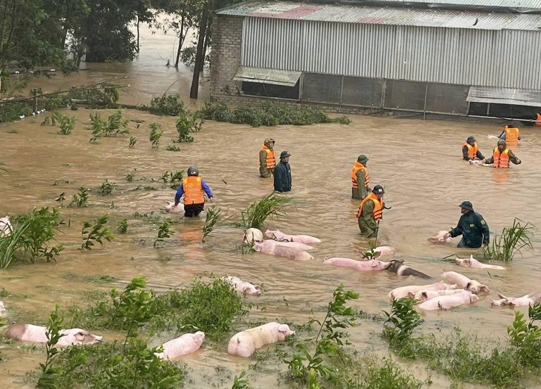 Lũ theo sau bão, người xứ Nghệ oằn mình trong gian khó chất chồng