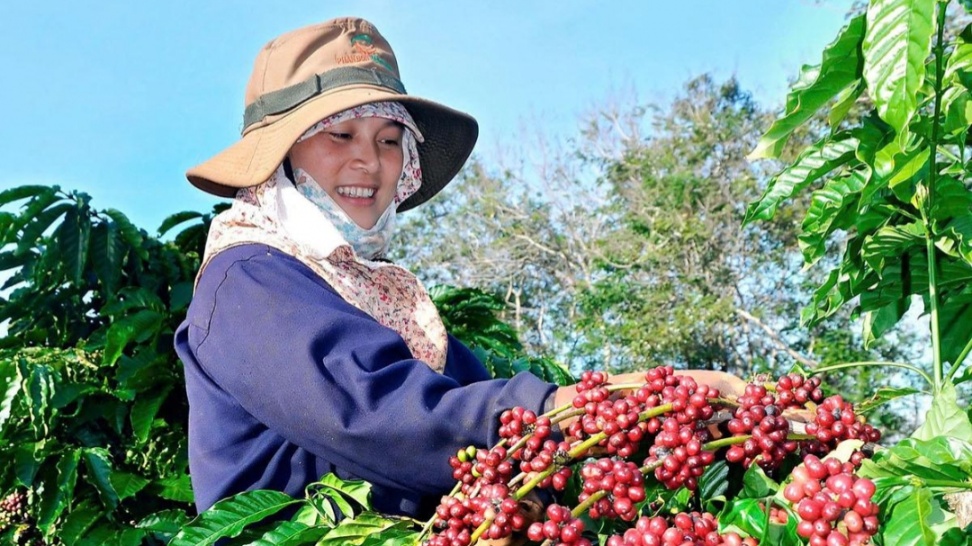 nam trung bo va tay nguyen  bat chap thoi tiet cuc doan nong nghiep van giu   8217 phong do  8217  tang truong