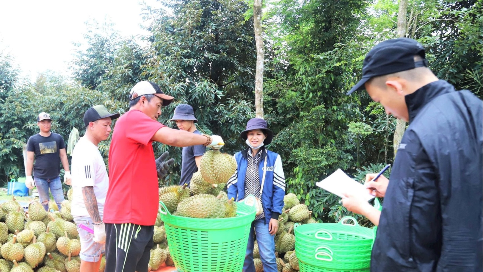 nam trung bo va tay nguyen  bat chap thoi tiet cuc doan nong nghiep van giu   8217 phong do  8217  tang truong