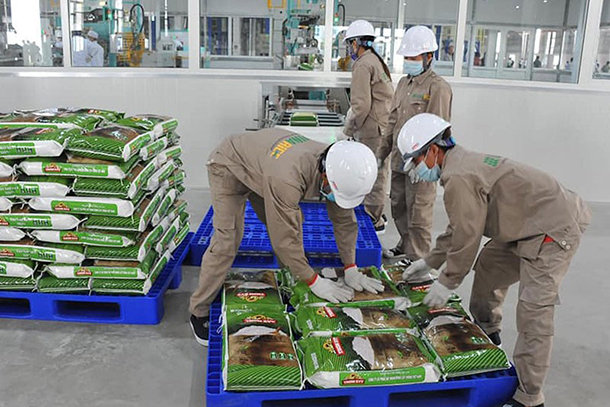 Các doanh nghiệp Việt đang đứng trước cơ hội xuất khẩu được nhiều nông sản trong thời gian tới. Trong ảnh: Đóng gói gạo xuất khẩu tại một công ty. Ảnh: QUANG HUY