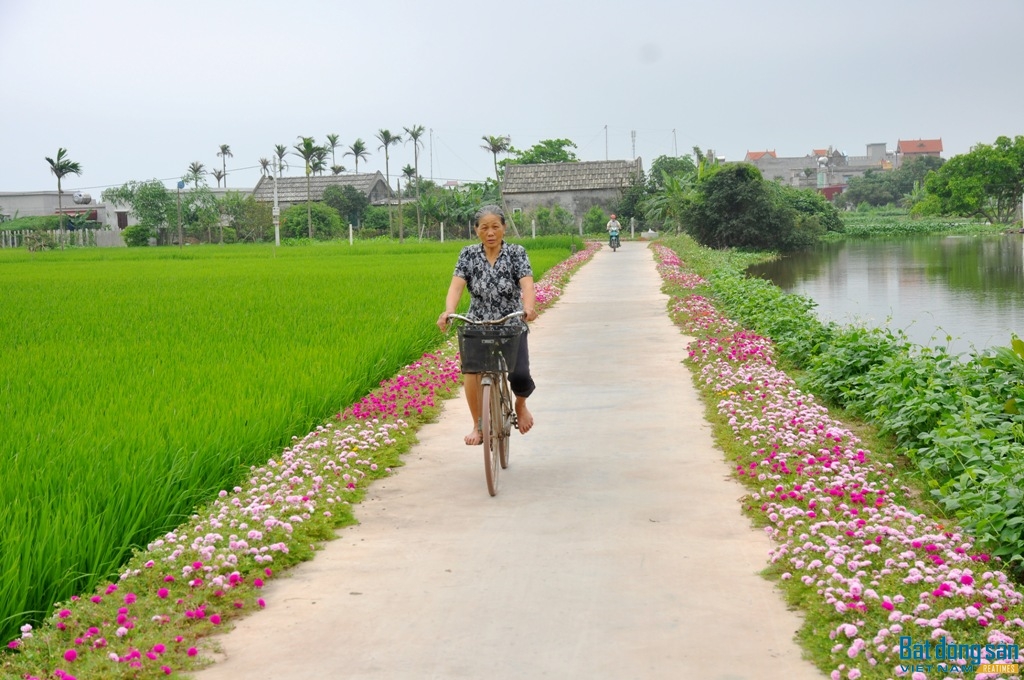 Quê, đường đẹp: Việt Nam đầy thú vị và đẹp lạ thường.Trong những bức hình chụp cho bạn phép chiêm ngưỡng các cảnh đồng quê tuyệt đẹp. Từ đồng ruộng bạt ngàn đến các con đường trắng nắng đẹp mắt, quê hương để lại cho bạn những kỷ niệm đáng nhớ.