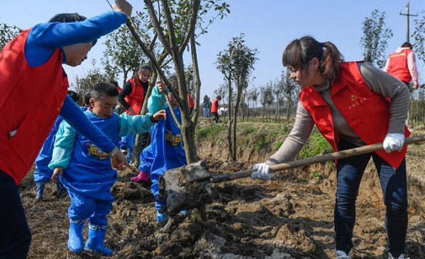 Giáo viên và học sinh ở tỉnh Chiết Giang, Trung Quốc trồng cây hồi tháng 3/2019. Ảnh: Xinhua.