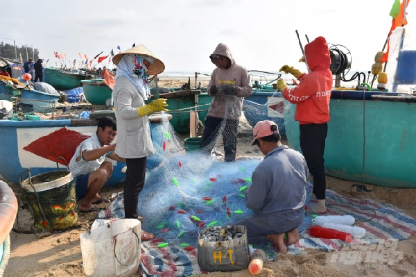 Cứ vào sáng mùng 2 Tết, ngư dân ở Làng chài Phước Hải lại đưa thuyền thúng ra khơi đánh bắt hải sản. Ảnh: AV.