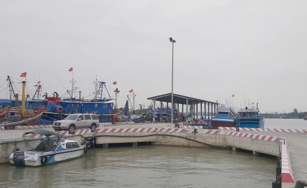 Hệ thống nghề cá tại Nghệ An đang có bước chuyển tích cực. Ảnh: Việt Khánh.