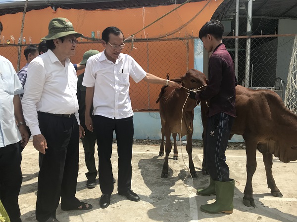 Nguyên Chủ tịch Nước Trương Tấn Sang (ngoài cùng bên trái) và ông Huỳnh Văn Tài, đại diện đơn vị tài trợ trao bò cho bà con nghèo Thạnh Hóa. 