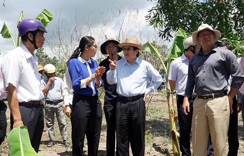 Nguyên Chủ tịch nước CHXHCN Việt Nam Trương Tấn Sang khảo sát địa điểm xây cầu tại xã Núi Voi